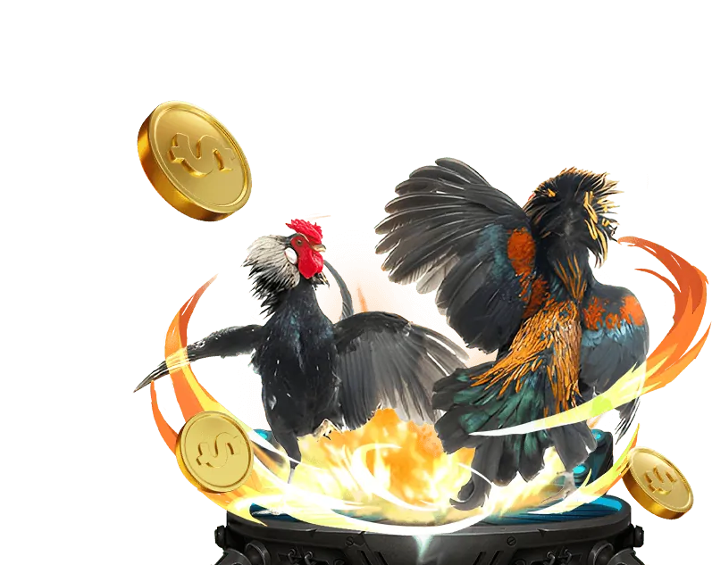 Khuyến mãi nạp lại hàng ngày cho đá gà bet789